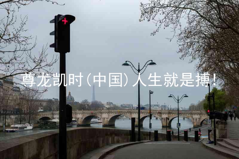 尊龙凯时(中国)人生就是搏!