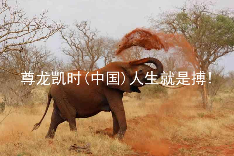 尊龙凯时(中国)人生就是搏!